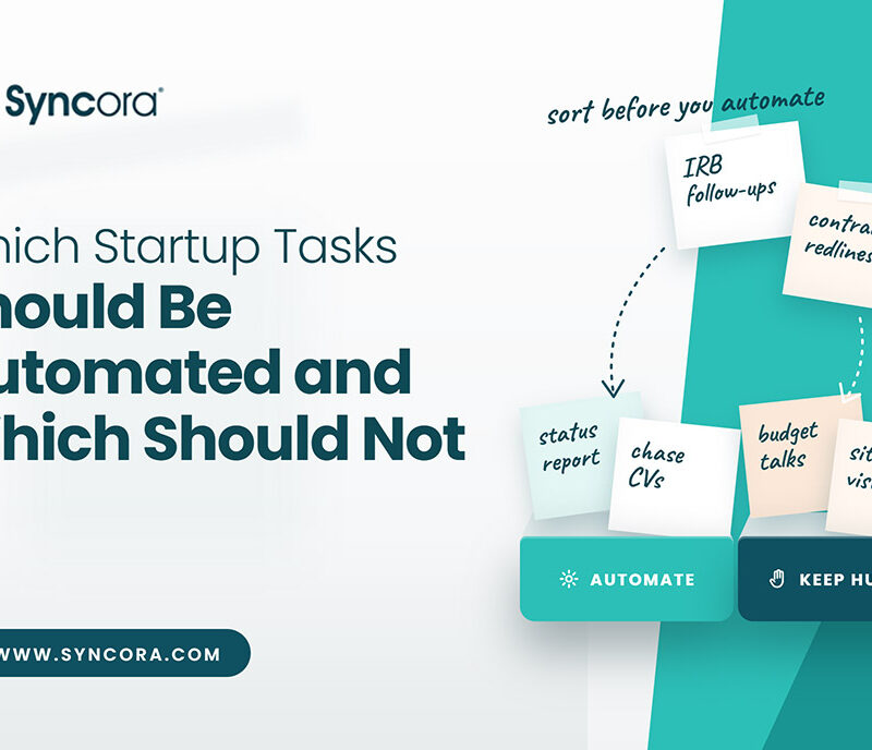 Which-Startup-Tasks-Should-Be-Automated-and-Which-Should-Not